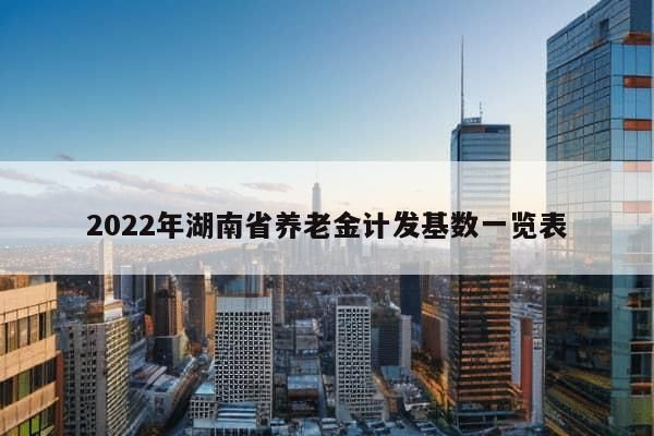 2022年湖南省养老金计发基数一览表