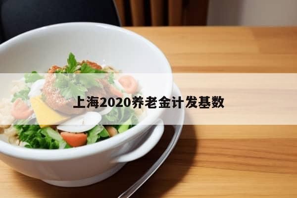 上海2020养老金计发基数