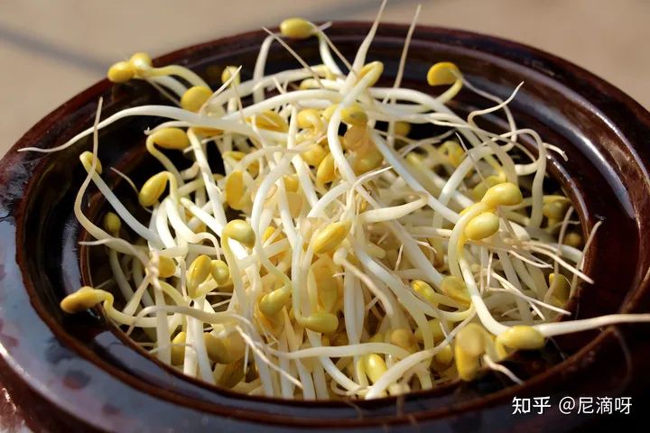 开春怎么吃健康（立春饮食有什么讲究吗）立春之后的饮食 - 立春后饮食了解一下，做到这几点，开春少生病！