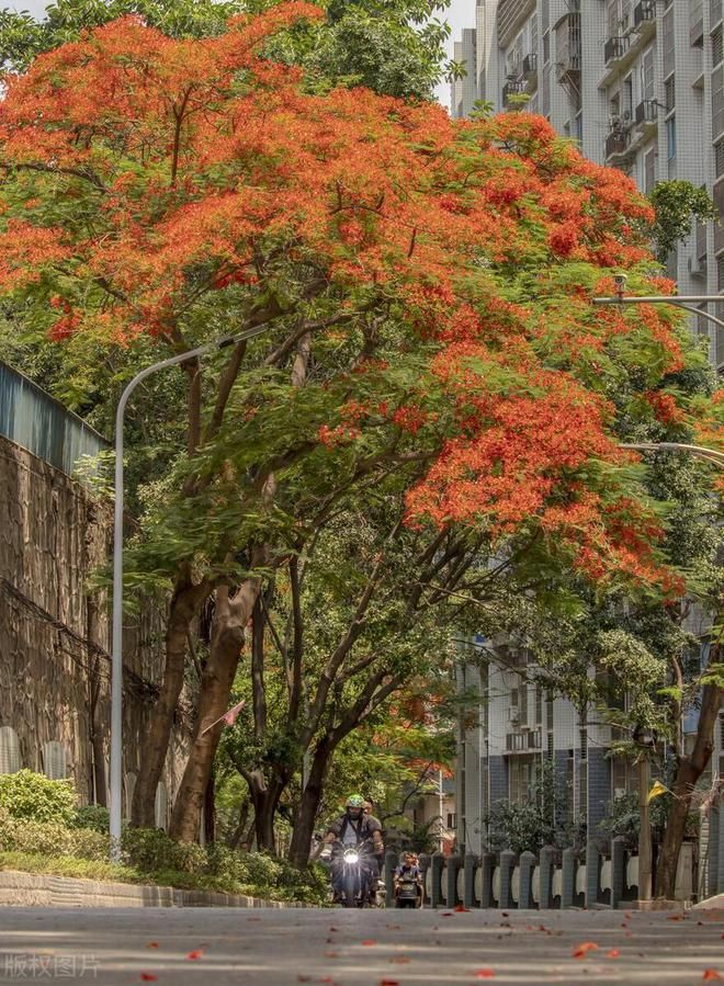 超适合春节出行的10个旅行地！避开人群，景美物价还低，全家走起