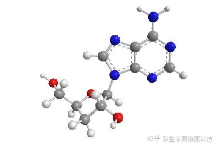 新鲜出炉（科学养生的好处）养生指南 - 我想看科学养生