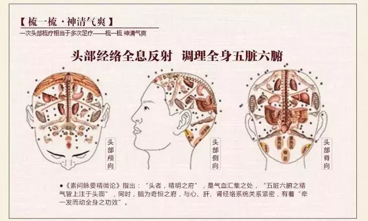 干货分享（如何春季养生）春夏季养生 - 春季如何进行养生