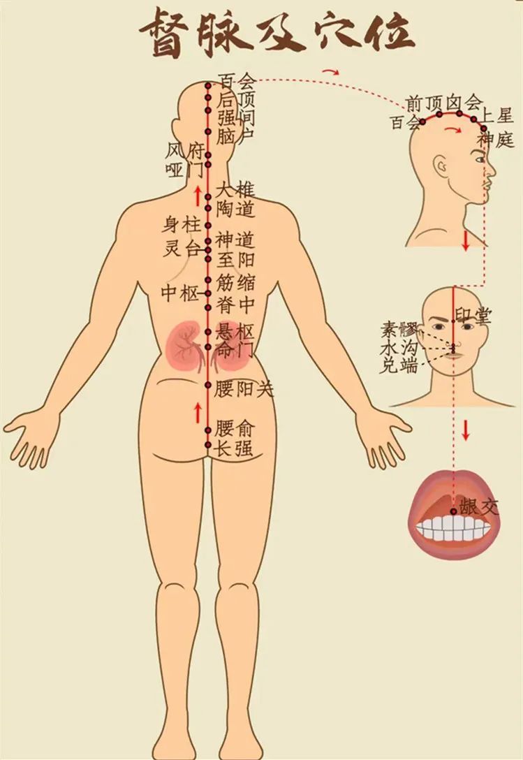 满满干货（春夏养阳气）春夏季养生 - 春夏养阳吃什么药