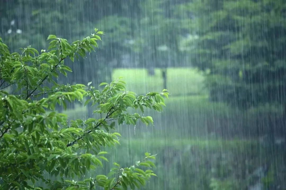 满满干货（春夏养阳气）春夏季养生 - 春夏养阳吃什么药