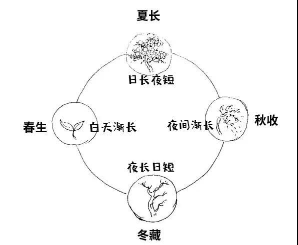 真没想到（四季养生顺口溜八个字）四季养生正确的方法 - 四季养生法则是什么意思