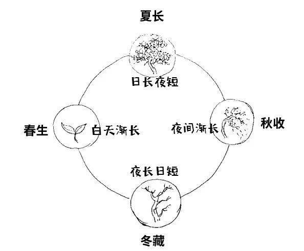 硬核推荐（黄帝内经四季养生法书籍）四季养生正确的方法 - 黄帝内经四季养生原文和翻译