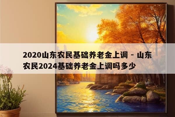 2020山东农民基础养老金上调 - 山东农民2024基础养老金上调吗多少