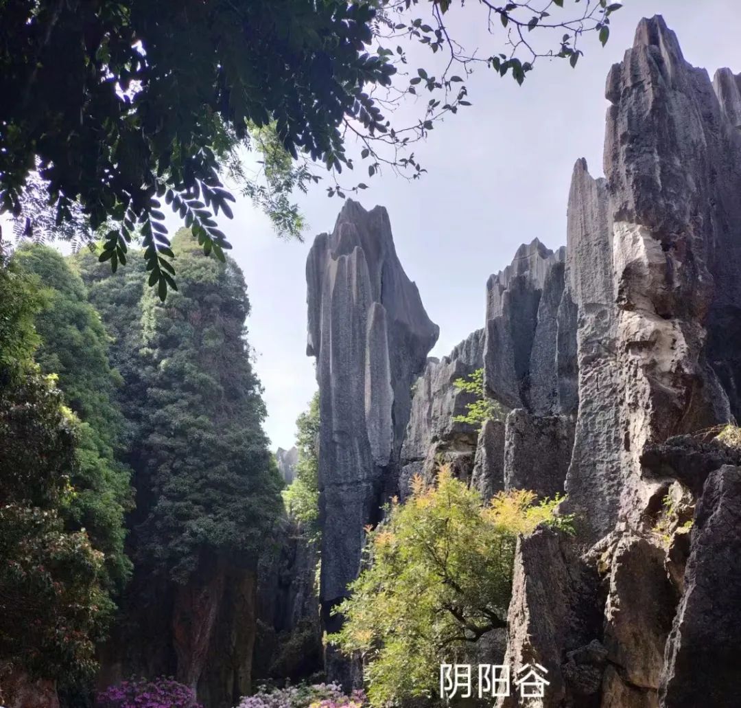 没想到！云南哪里好玩的景点 云南旅游攻略 - 云南哪里旅游比较好