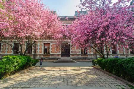 这都可以？！云南旅游景点攻略自由行路线 云南旅游攻略 - 云南旅游攻略 必玩的景点