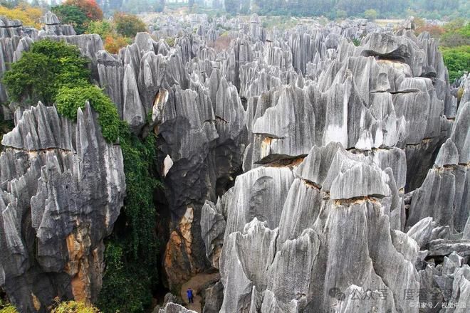 干货满满！云南旅游攻略路线最佳路线 云南旅游攻略 - 云南旅游攻略路线图