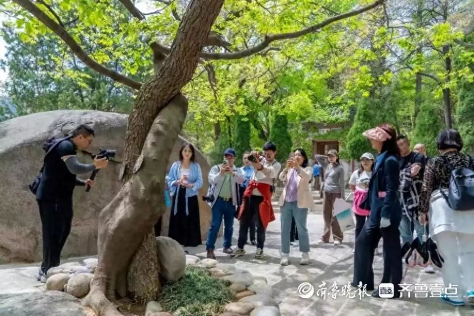 墙裂推荐！旅游网红达人排名 全国旅游攻略 - 旅游网红博主