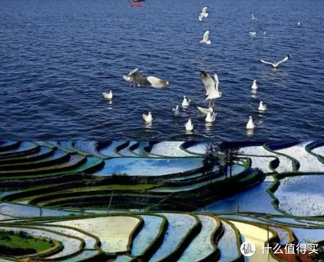 万万没想到！云南几月份去最佳时间 大理旅游攻略 - 云南几月份旅游最佳季节