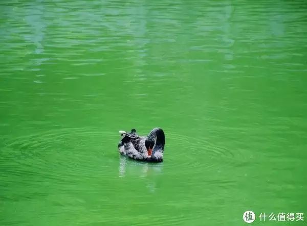 深度揭秘！避暑哪里凉快不潮湿 大理旅游攻略 - 避暑哪里凉快一点