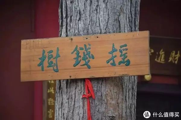 深度揭秘！避暑哪里凉快不潮湿 大理旅游攻略 - 避暑哪里凉快一点