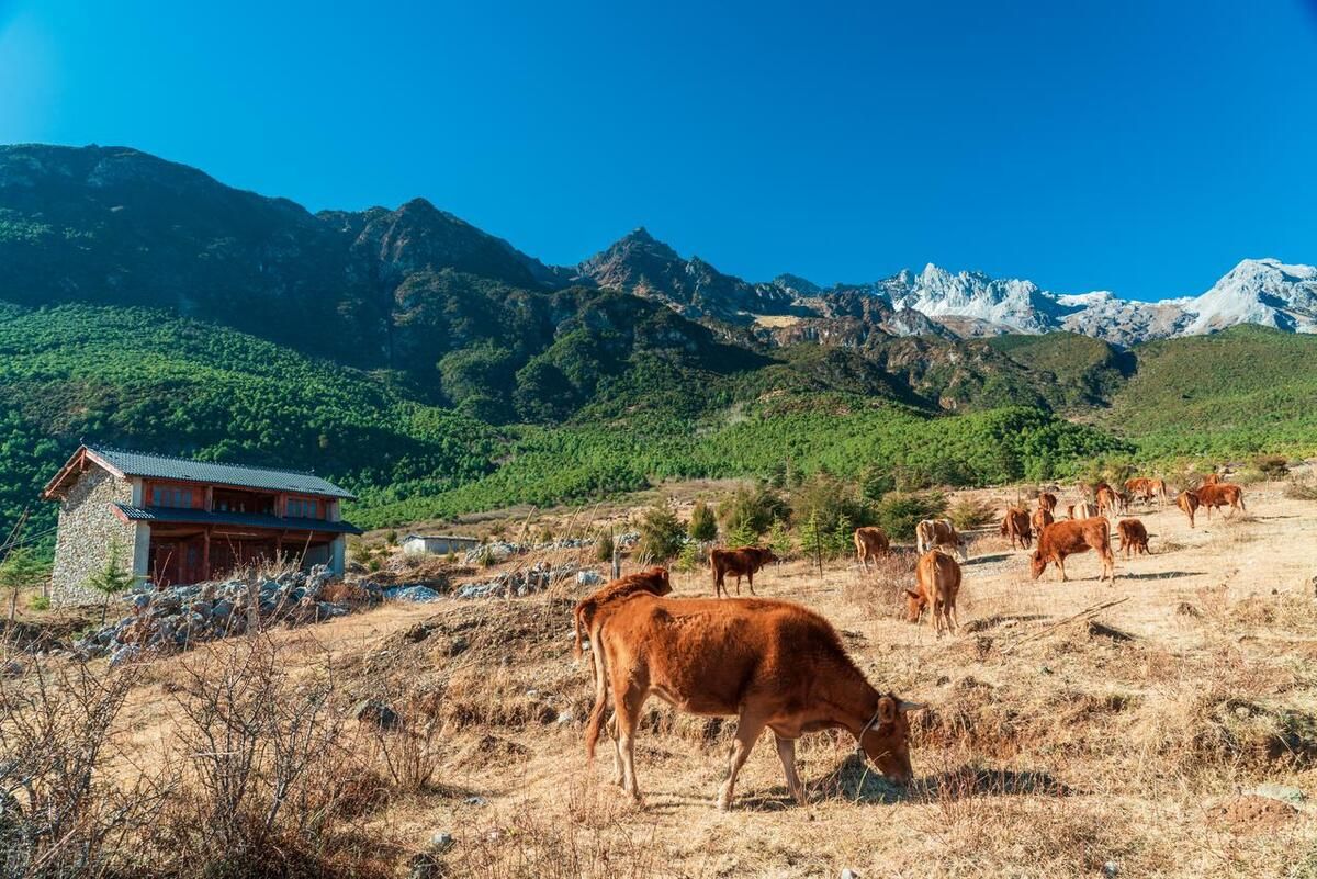 越早知道越好！丽江必去的旅游景点攻略 丽江旅游攻略 - 丽江十大旅游景点