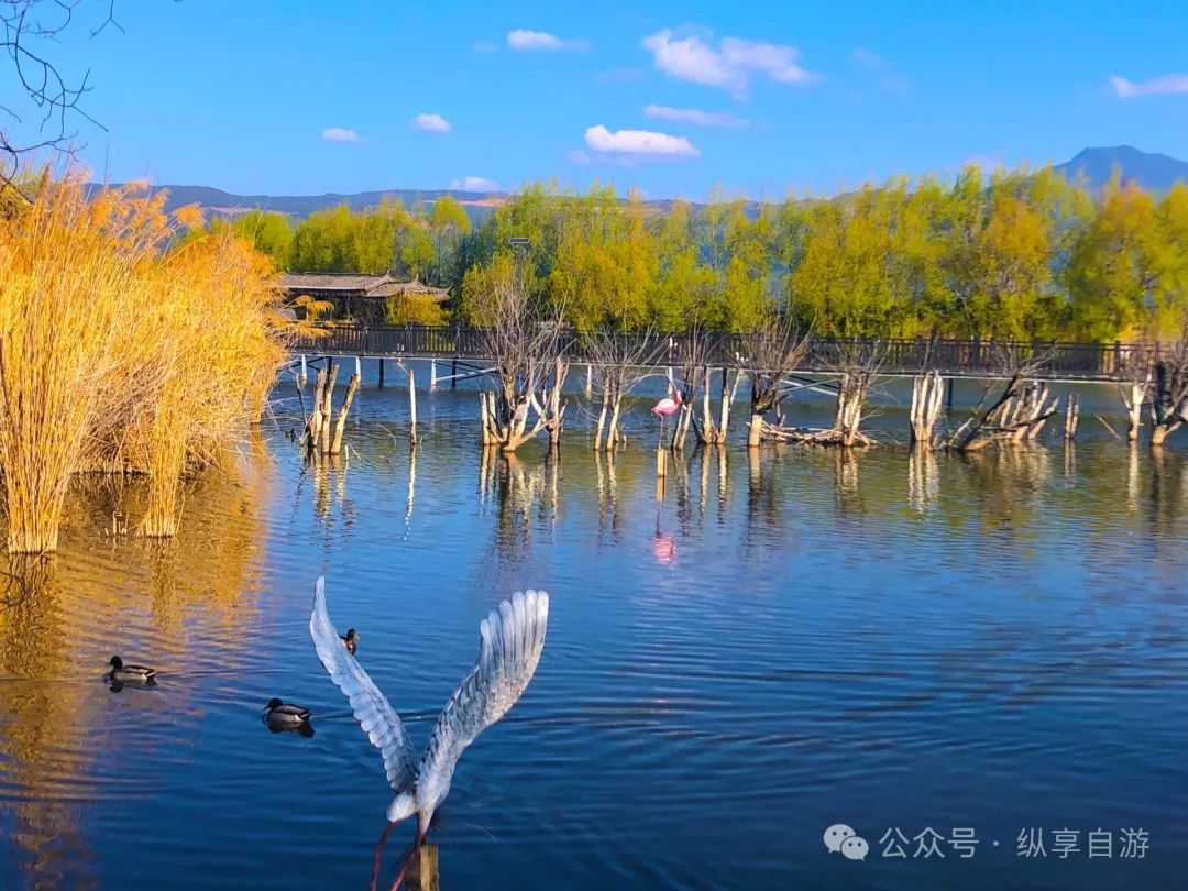 这都可以！丽江旅游必去的景点 丽江旅游攻略 - 丽江旅游必去十大景点推荐