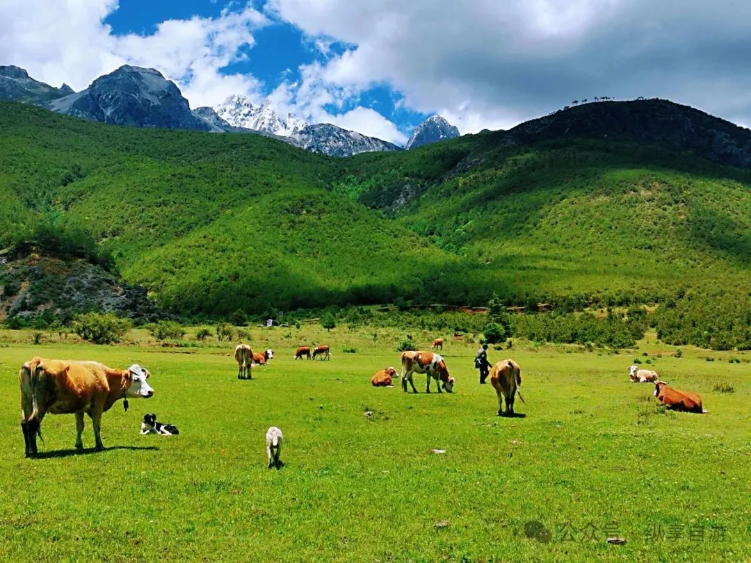 这都可以！丽江旅游必去的景点 丽江旅游攻略 - 丽江旅游必去十大景点推荐