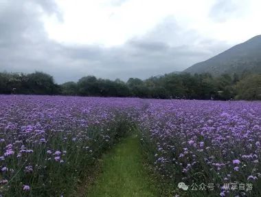 这都可以！丽江旅游必去的景点 丽江旅游攻略 - 丽江旅游必去十大景点推荐