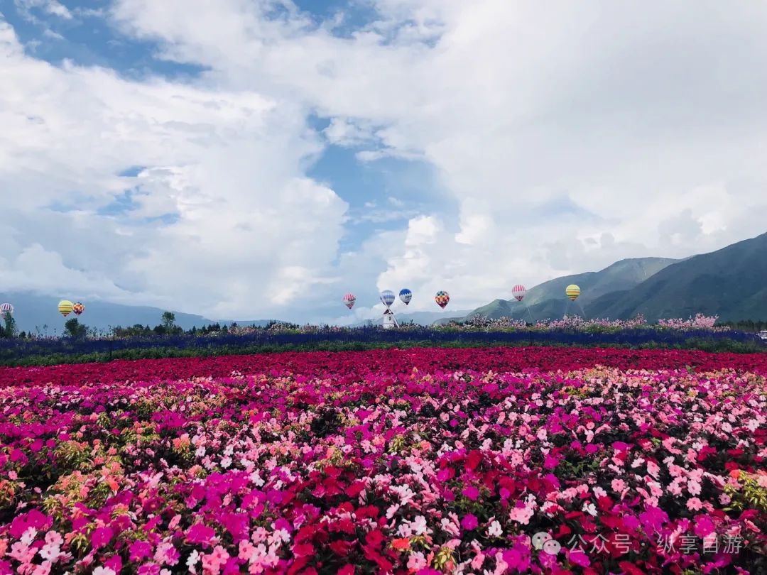 这都可以！丽江旅游必去的景点 丽江旅游攻略 - 丽江旅游必去十大景点推荐