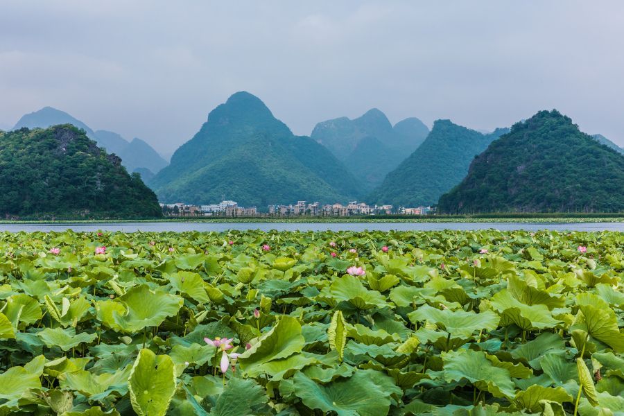 干货满满！文山壮族苗族自治州普者黑风景区在哪里 普者黑旅游攻略 - 文山普者黑风景区门票多少钱一张