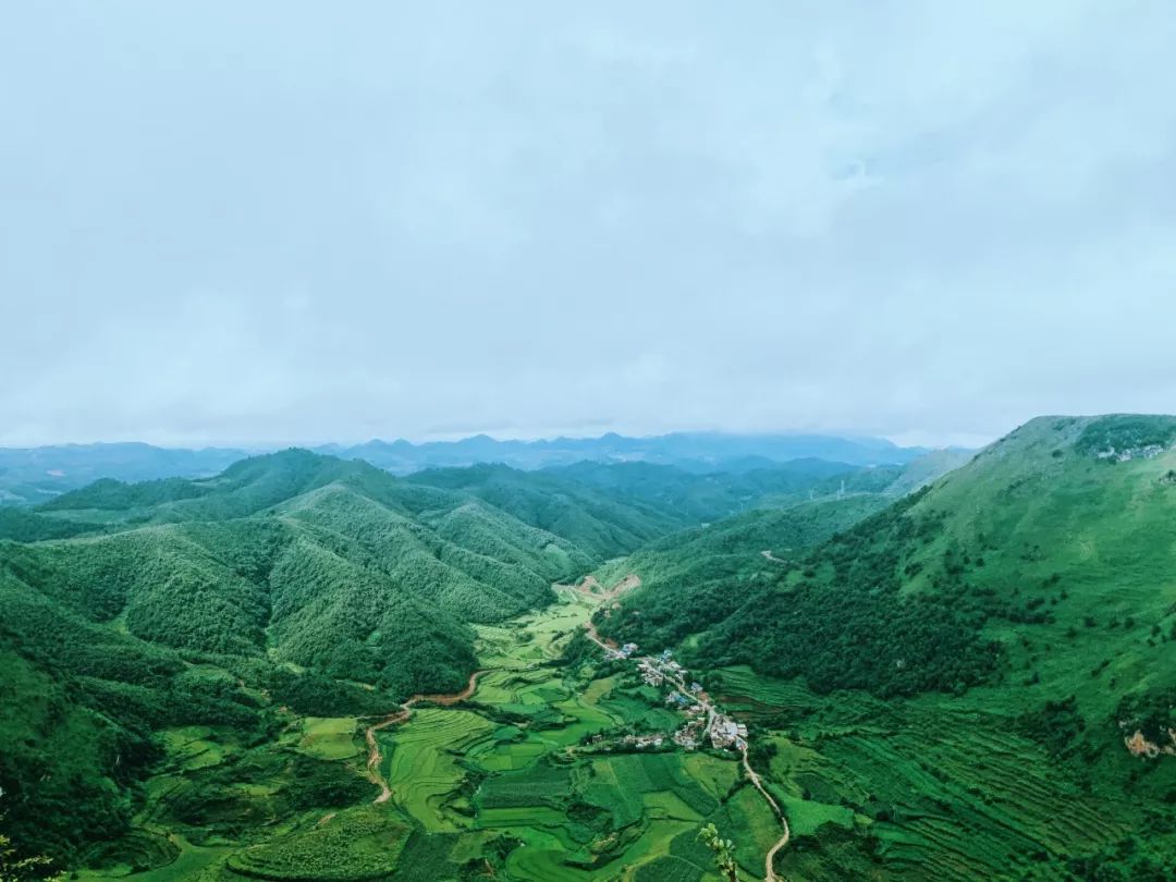 这都可以？！云南普者黑旅游攻略必去景点 普者黑旅游攻略 - 云南普者黑旅游攻略