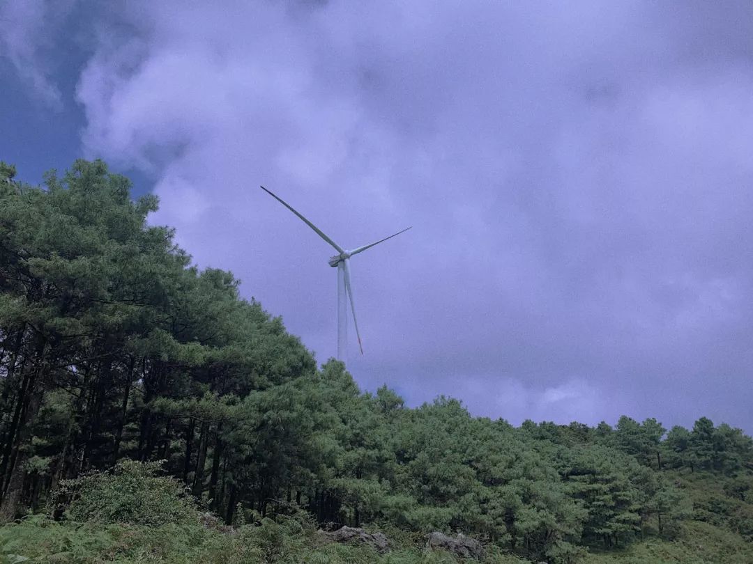 这都可以？！云南普者黑旅游攻略必去景点 普者黑旅游攻略 - 云南普者黑旅游攻略