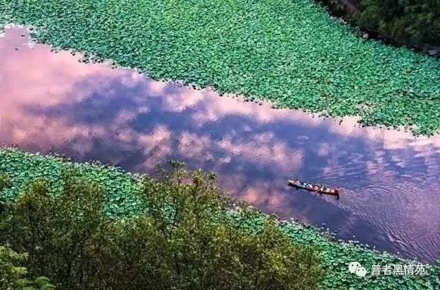 这样也行？！普者黑旅游景点门票多少钱 普者黑旅游攻略 - 普者黑旅游攻略景点大全