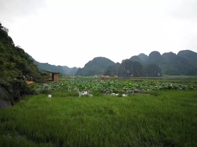 这样也行？！文山普者黑景点介绍 普者黑旅游攻略 - 云南文山普者黑景区门票多少钱