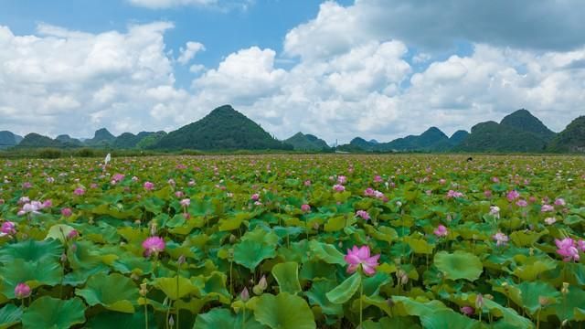 太疯狂了！普者黑怎么游玩 普者黑旅游攻略 - 普者黑值得去玩吗