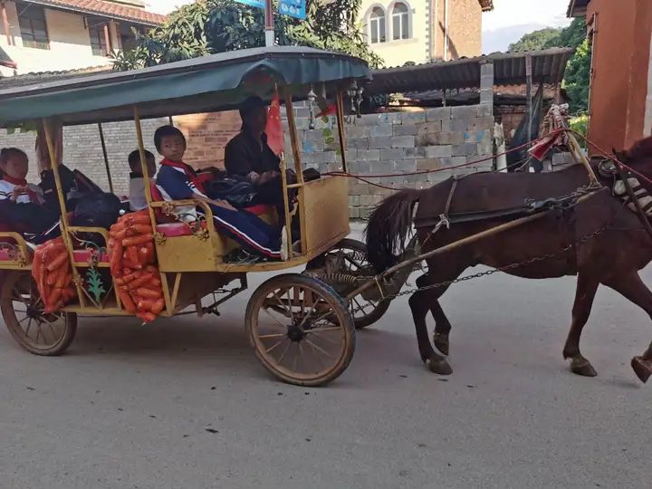 这都可以！普者黑必去的3个景点 普者黑旅游攻略 - 云南普者黑旅游全攻略