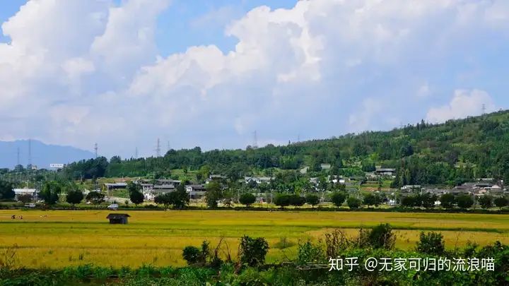 万万没想到！腾冲和顺景区门票价格 腾出热海旅游攻略 - 腾冲和顺古镇银杏村