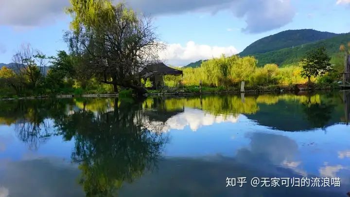 万万没想到！腾冲和顺景区门票价格 腾出热海旅游攻略 - 腾冲和顺古镇银杏村