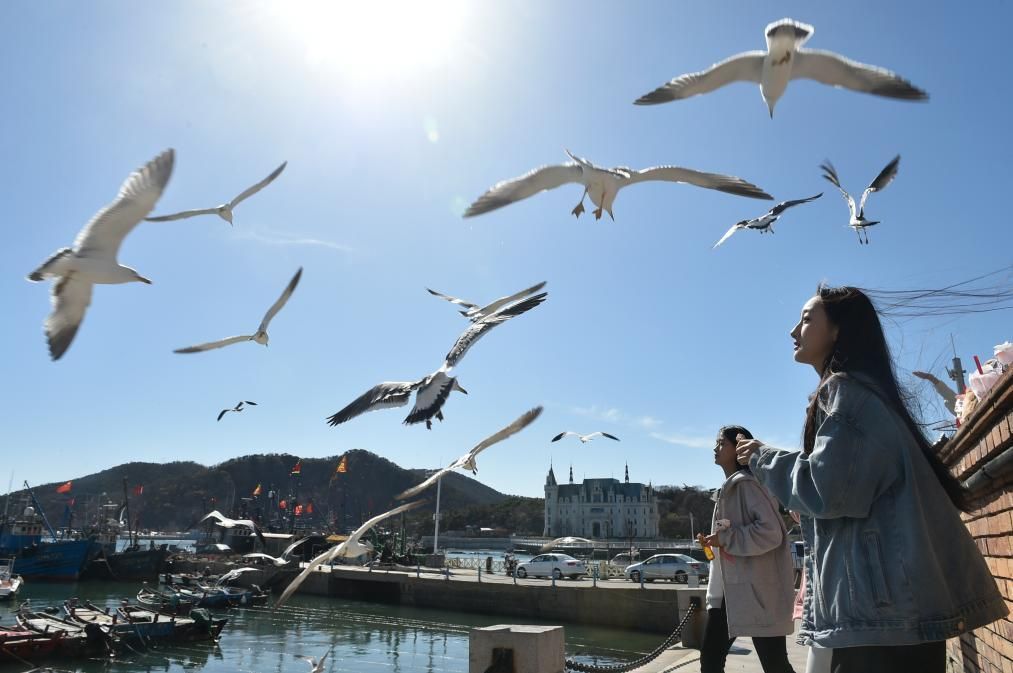 深度揭秘！五一假期攻略旅游文档云南 五一旅游出行指南 - 五一假期攻略旅游文档怎么写