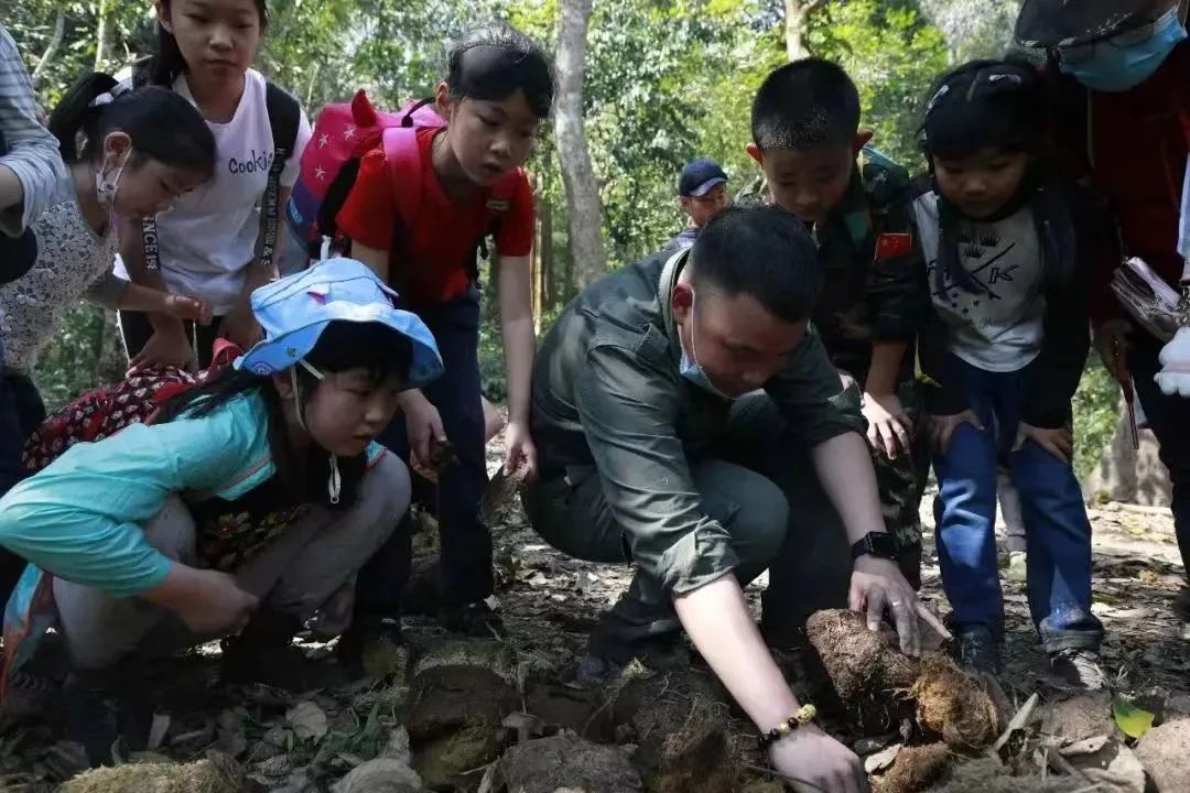 全程干货！野象谷游玩路线怎么走 五一旅游出行指南 - 野象谷游玩路线推荐