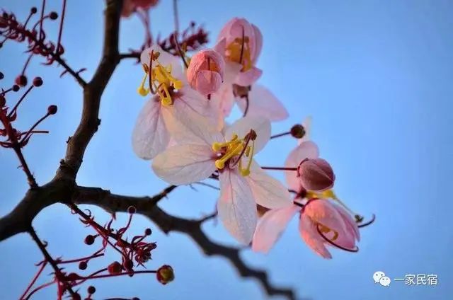 太疯狂了！五一国内最适合去旅游的地方 五一旅游出行指南 - 全国适合游玩的地方