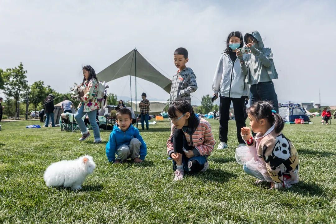 硬核推荐！好的露营地点 全国那些地方适合露营 - 好的露营地怎么找