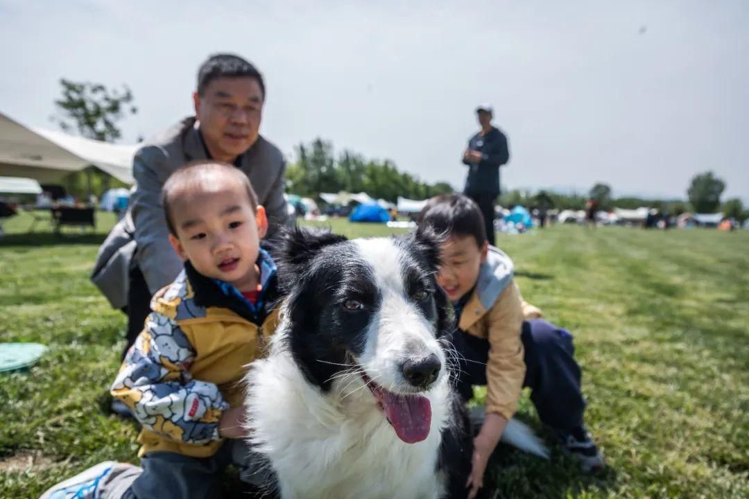 硬核推荐！好的露营地点 全国那些地方适合露营 - 好的露营地怎么找