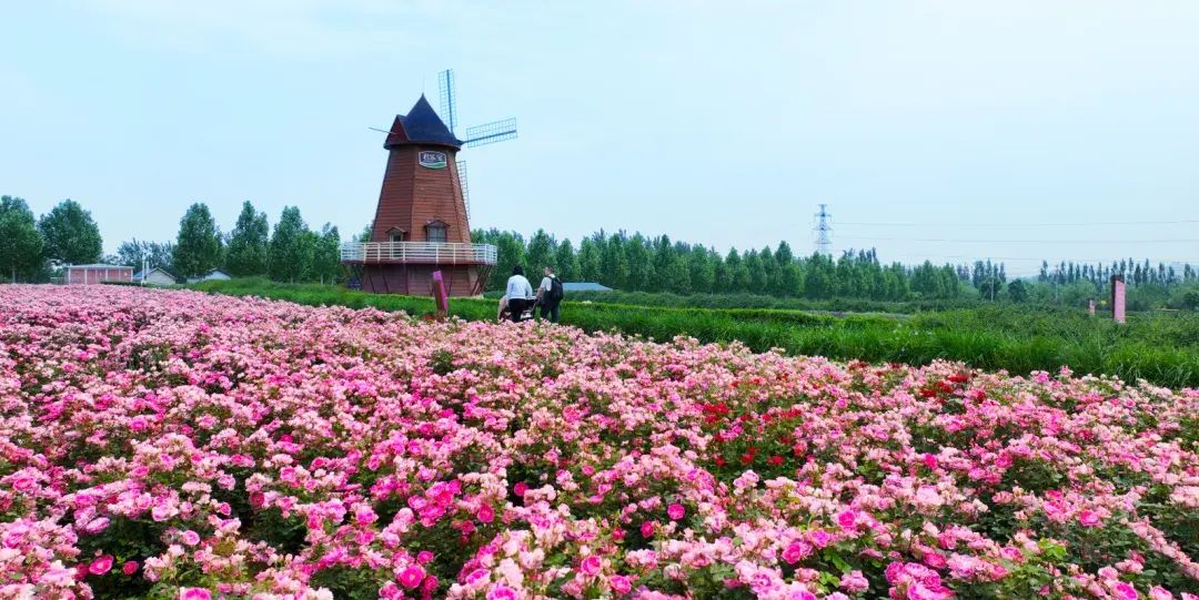 学到了吗！露营的旅游景点有哪些 全国那些地方适合露营 - 露营的好去处