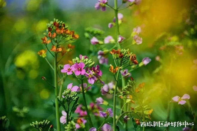 学到了！6个露营的好地方是什么 全国那些地方适合露营 - 露营景点