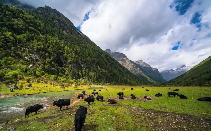 燃爆了！中国露营地点推荐人少 全国那些地方适合露营 - 中国十大露营地都在哪里