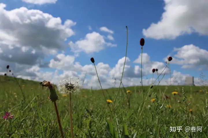 这样也行？！中国十大露营地 全国那些地方适合露营 - 中国有哪些露营的地方