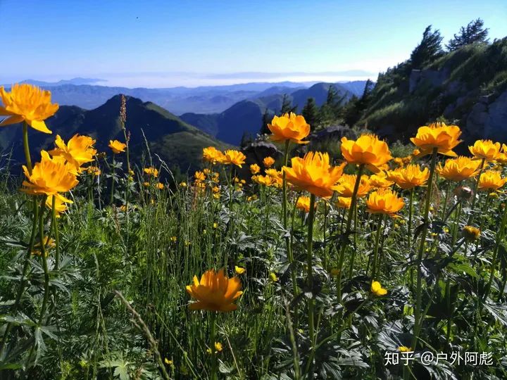 硬核推荐！近郊露营政策背景 全国那些地方适合露营 - 近郊露营好去处 什么生肖