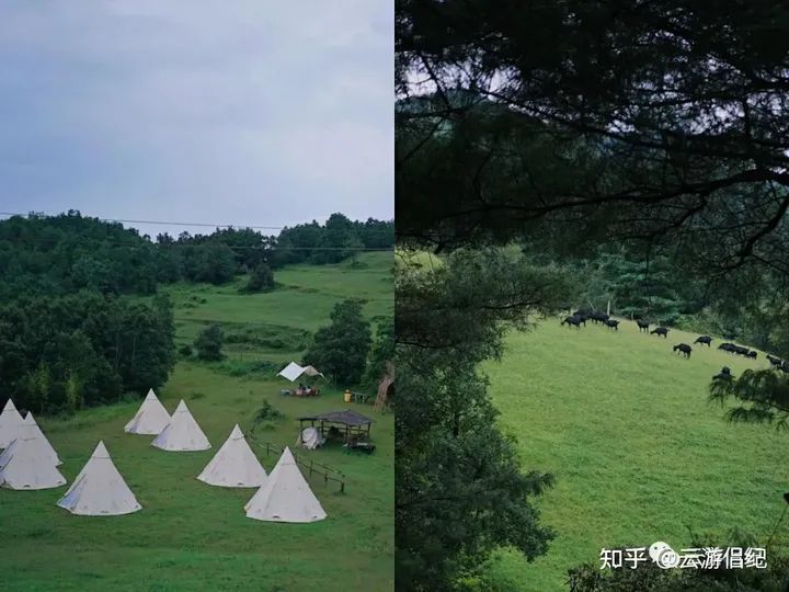 一篇读懂！昆明周边露营地方推荐 云南露营地推荐 - 昆明周末露营好去处