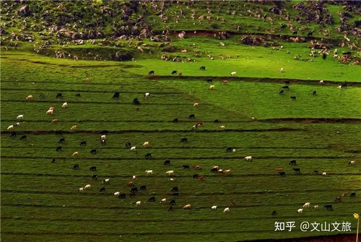 这都可以？！文山州旅游攻略必去景点 云南露营地推荐 - 文山州内旅游景点