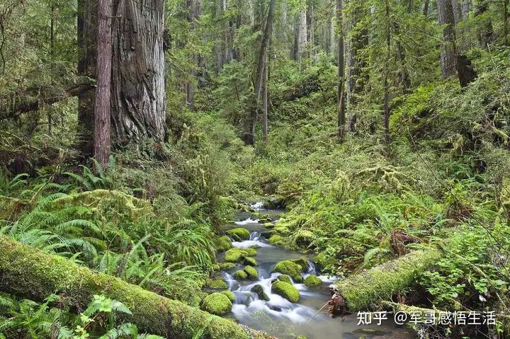 新鲜出炉！昆明露营去哪里比较好点 云南露营地推荐 - 昆明露营的好地方