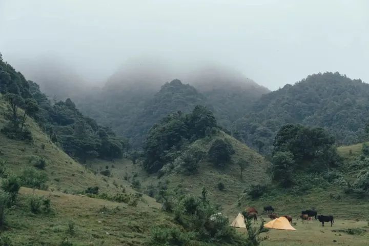 学到了！广东露营地方推荐 广东露营地推荐 - 广东有哪些露营基地?