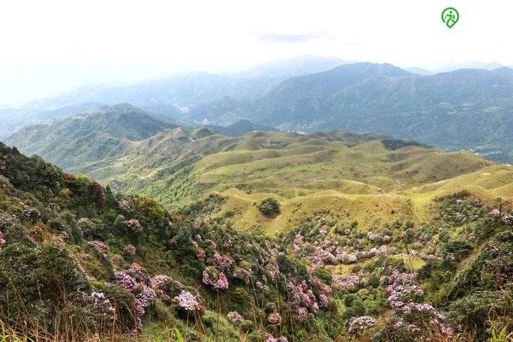 学到了！广东露营地方推荐 广东露营地推荐 - 广东有哪些露营基地?