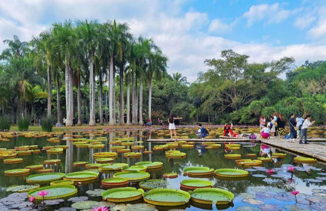 新鲜出炉！云南旅游热门路线 云南旅游攻略 - 云南旅游最全攻略