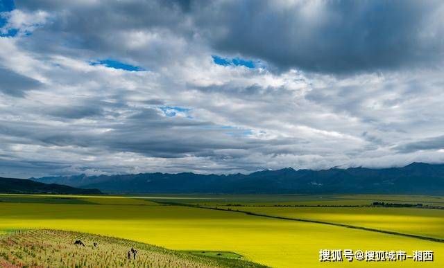 速看！西北大环线旅游路线图费用 西北旅游攻略 - 西北大环线旅游路线图自驾游