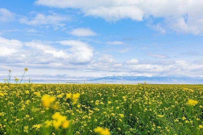 一看就会！西北七日游多少钱? 西北旅游攻略 - 西北七日游最佳路线图高清